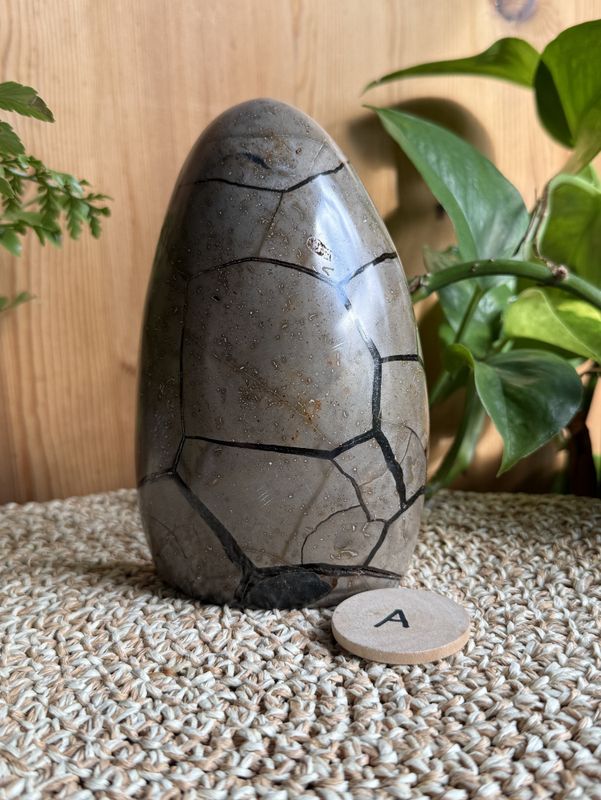 Septarian egg halvt (#60)