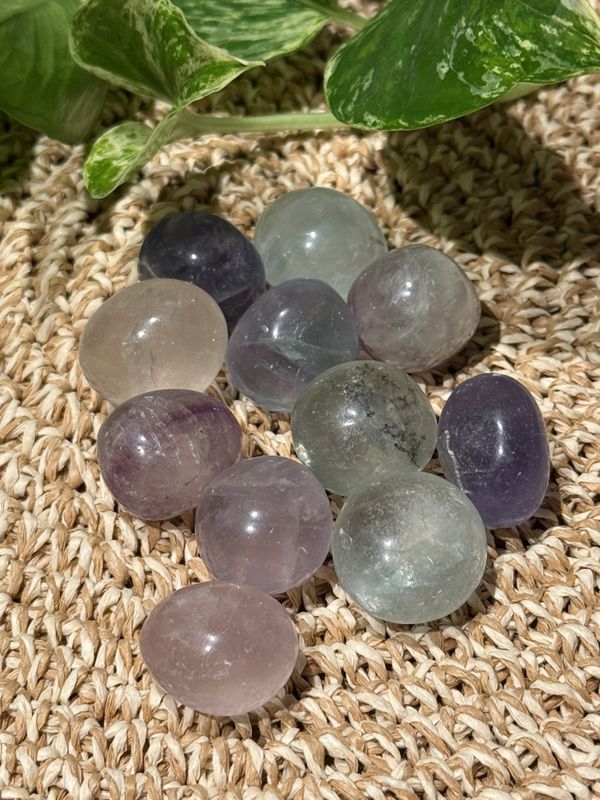 Fluoritt regnbue tumbles, Large, Kina