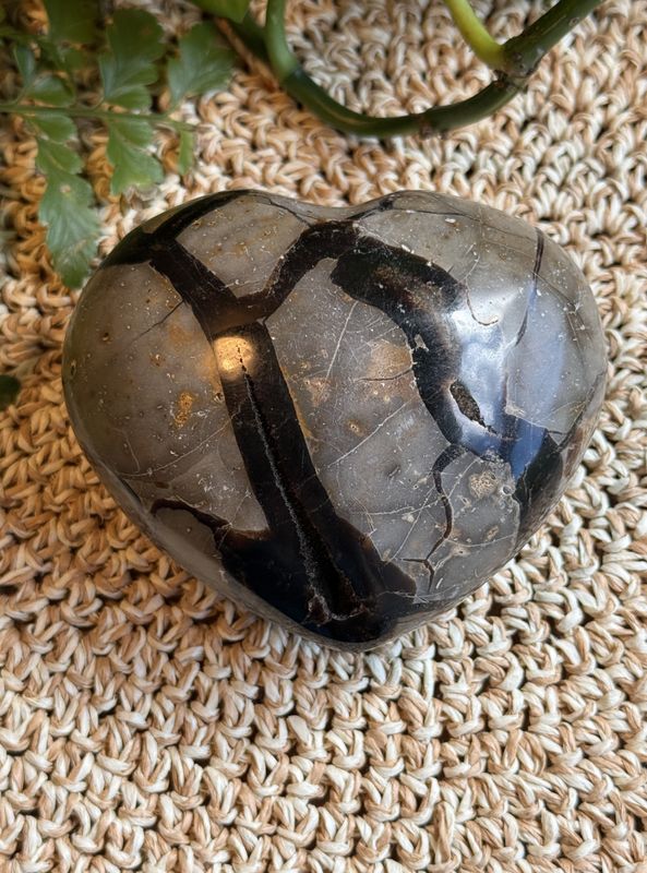 Septarian hjerte (#82)