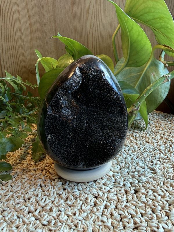 Septarian egg 9-10 cm (#81)