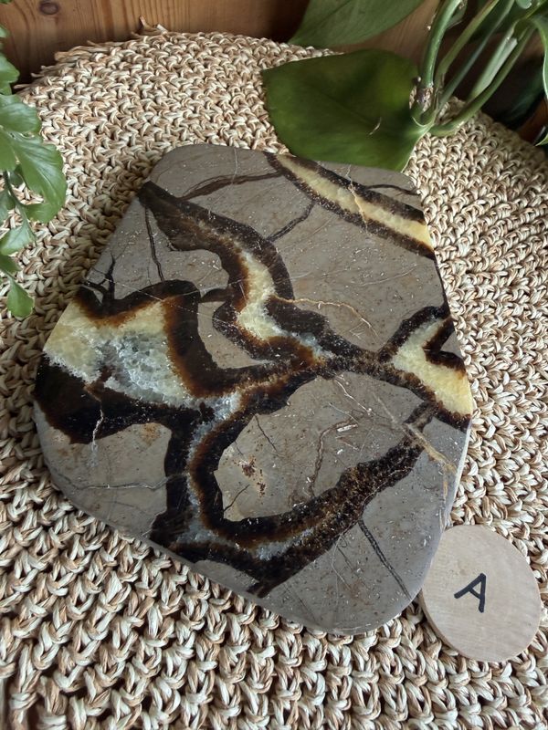 Septarian skive (#56)